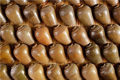 《宝可梦：大集结》1周年纪念 限期PVE活动7月21日开启